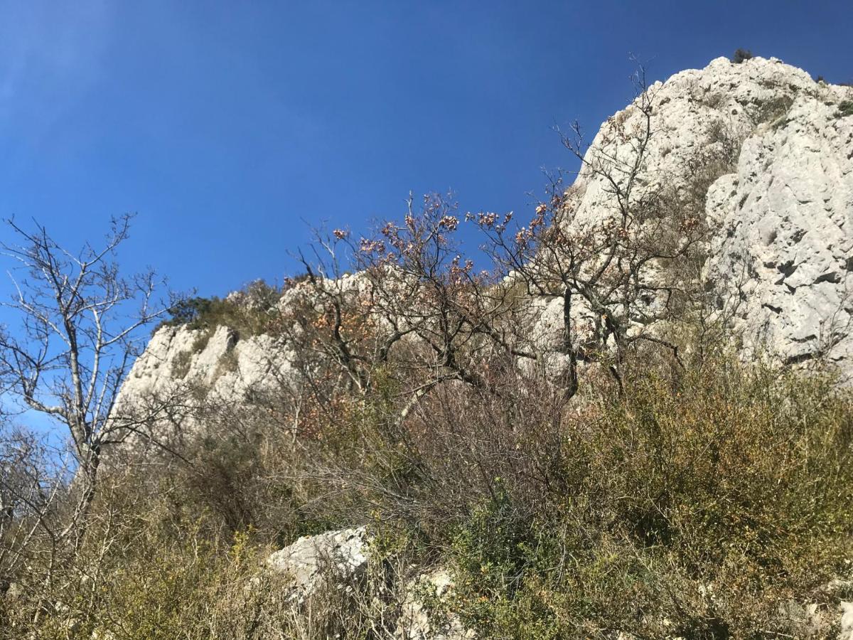 Chambre En Ardeche Du Sud Saint-Remeze 외부 사진